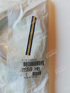 Decorative strip for PEUGEOT 309