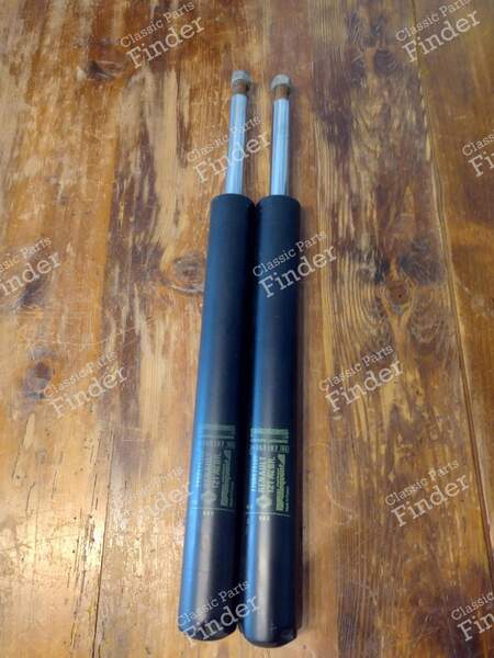 Front Shock Absorbers - RENAULT 14 (R14) - 059187 / 7700674509- 0