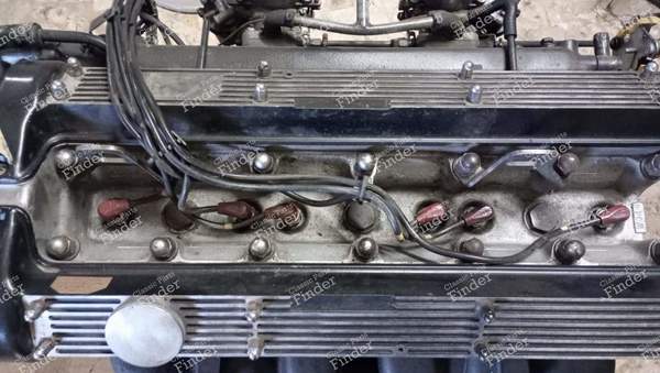 4.200 c.c 6 cylinders - JAGUAR Type E - W344- 3