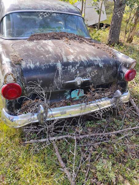 54' Ford - FORD Mainline / Customline / Crestline - 3