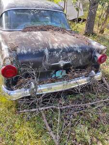 54' Ford - FORD Mainline / Customline / Crestline - thumb-3