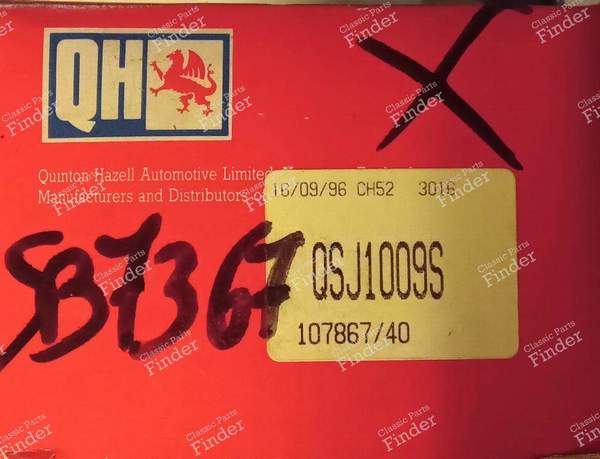 Paar untere Querlenker vorne rechts und links - PEUGEOT 304 - QSJ1009S/10010S- 2