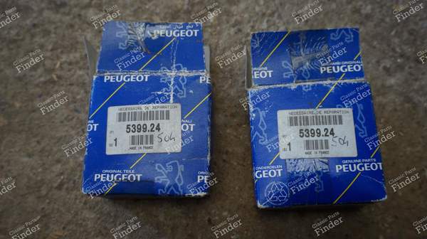 Front shock absorber repair kit - PEUGEOT 504 - 5399.24- 2
