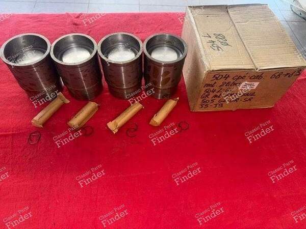 Piston Ring Kit - PEUGEOT 504 - 0