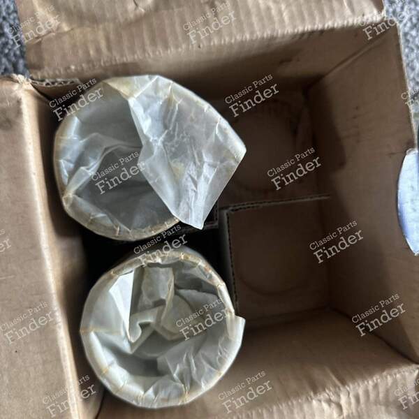 Piston Set - TS Version - RENAULT 16 (R16) - EQ7573440- 3