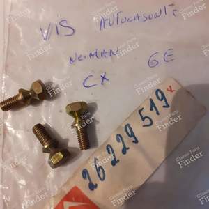 Vis à tête auto-cassante pour CITROËN CX