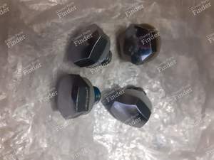Chrome-plated trim screws for CITROËN 2CV