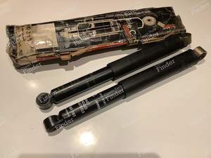 DE CARBON rear shock absorbers - RENAULT Master