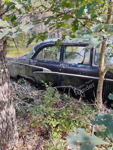 54' Ford - FORD Mainline / Customline / Crestline - thumb-2