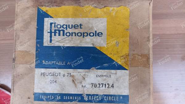 Kit Kolbenhemd - Benzinversion - PEUGEOT 204 - 7727124- 9