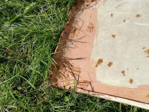 Kotflügel hinten links Serie 2 - VOLKSWAGEN (VW) 1500 / 1600 (Typ 3) - thumb-9